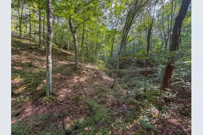 3930 McNally Road, Stockport, OH 43787 - Photo 61