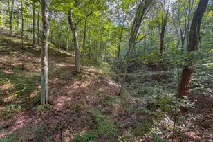 3930 McNally Rd, Stockport, OH 43787 - Photo 61