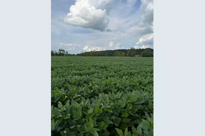 0 Mt. Zwingli SE #Lot C, Bremen, OH 43107 - Photo 3