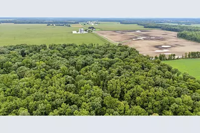 0 County Road 97 Lot #2, Mount Gilead, OH 43338 - Photo 7