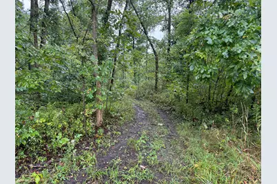 0 County Road 97 Lot #1, Mount Gilead, OH 43338 - Photo 9