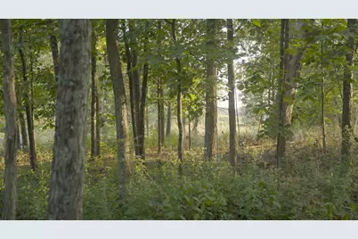 3924 State Route 131, Perry Township, OH 45118 - Photo 77