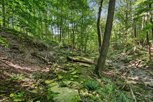6218 Harlem Rd, Westerville, OH 43082 - Photo 93