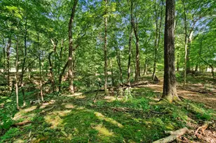 6218 Harlem Rd, Westerville, OH 43082 - Photo 101