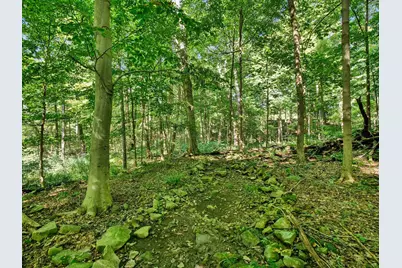 6218 Harlem Road, Westerville, OH 43082 - Photo 99