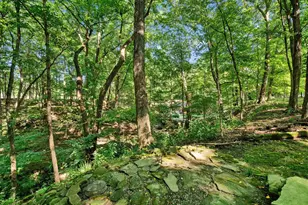 6218 Harlem Rd, Westerville, OH 43082 - Photo 101