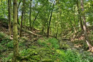 6218 Harlem Rd, Westerville, OH 43082 - Photo 95