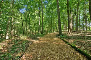 6218 Harlem Rd, Westerville, OH 43082 - Photo 97