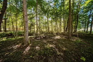 6931 Ginger Hill Rd, Utica, OH 43080 - Photo 85