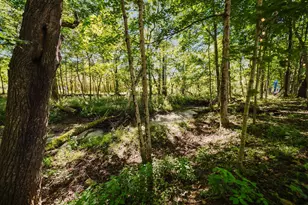 6931 Ginger Hill Rd, Utica, OH 43080 - Photo 81