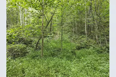23584 Conrad Road, South Bloomingville, OH 43152 - Photo 3