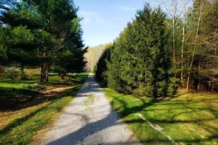 22390 State Route 56, South Bloomingville, OH 43152 - Photo 45
