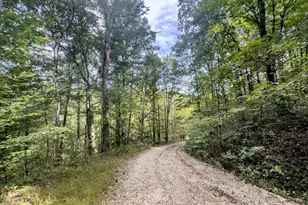 15645 Township Rd 287 SE, Glouster, OH 45732 - Photo 3