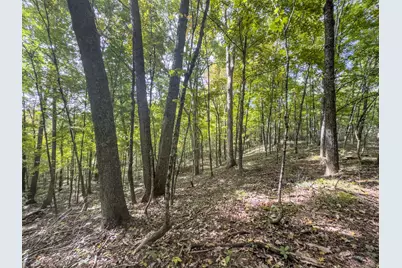 15525 Township Road 287 SE, Glouster, OH 45732 - Photo 47