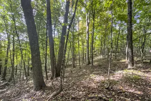 15525 Township Rd 287 SE, Glouster, OH 45732 - Photo 47