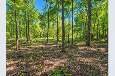 17672 Bear Swamp Road, Marysville, OH 43040 - Photo 45