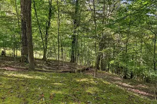 34199 Keller Rd, Logan, OH 43138 - Photo 73