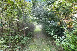 3999 Township Rd 176, Fredericktown, OH 43019 - Photo 75
