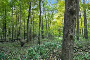 3999 Township Rd 176, Fredericktown, OH 43019 - Photo 63