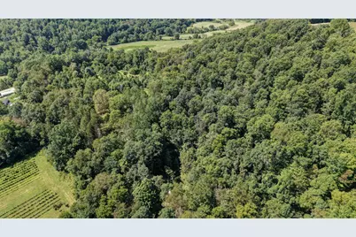 33111 Township Road 490, Killbuck, OH 44637 - Photo 59