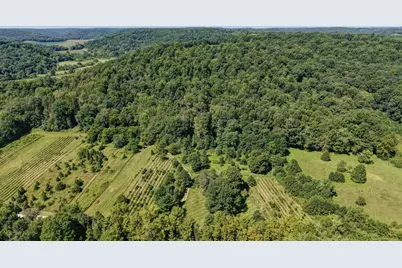 33111 Township Road 490, Killbuck, OH 44637 - Photo 57