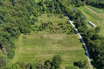 33111 Township Road 490, Killbuck, OH 44637 - Photo 53