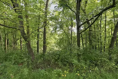 45582 Township Road 288, Conesville, OH 43811 - Photo 43