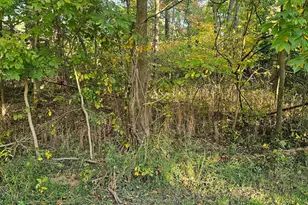 0 Dogwood Road NE, Thornville, OH 43076 - Photo 1