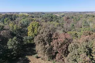 3414 State Route 125, West Union, OH 45693 - Photo 45