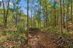 21366 Raymond Rd, Marysville, OH 43040 - Photo 29