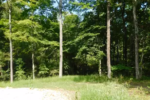 16716 Skinner Rd, Logan, OH 43138 - Photo 55