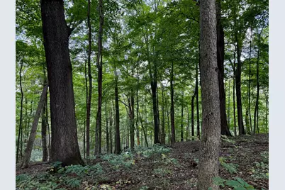 3770 Woodlane Drive #(Woodlane on Wayne), Nelsonville, OH 45764 - Photo 5