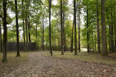 20554 Thompson Ridge Road, Laurelville, OH 43135 - Photo 21