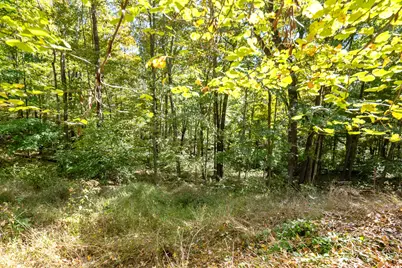 23951 Brown Road, South Bloomingville, OH 43152 - Photo 71