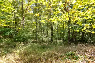 23951 Brown Rd, South Bloomingville, OH 43152 - Photo 71