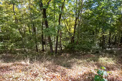 23951 Brown Road, South Bloomingville, OH 43152 - Photo 75