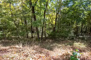 23951 Brown Rd, South Bloomingville, OH 43152 - Photo 75