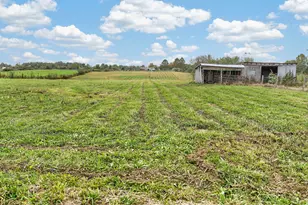 753 Blain Ln, Greenfield, OH 45123 - Photo 33