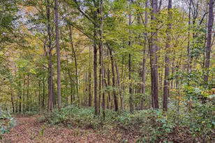 2449 Hickson Run Rd, Chillicothe, OH 45601 - Photo 79