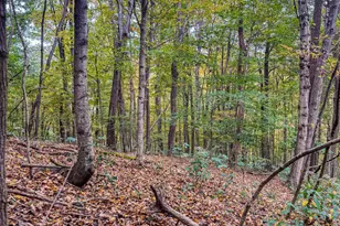 2449 Hickson Run Rd, Chillicothe, OH 45601 - Photo 81