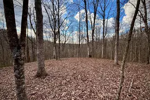 0 Loudermilk Rd, Glouster, OH 45732 - Photo 1