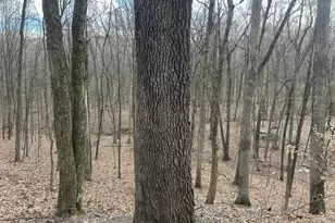 0 Eddyburg Road NE, Newark, OH 43055 - Photo 1