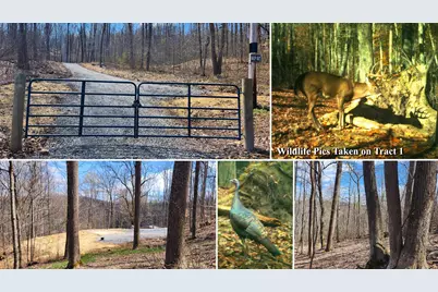 0 Pike Lake Rd Road #(Tract 2 Pike Lake Getaway), Bainbridge, OH 45612 - Photo 1