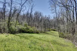 0 Dutch School Rd, Dresden, OH 43821 - Photo 1