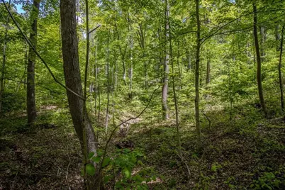 0 Kinzer Road, Bainbridge, OH 45612 - Photo 1