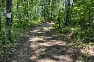 58505 N Branch Rd, South Bloomingville, OH 43152 - Photo 1