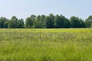 18487 Smokey Rd, Marysville, OH 43040 - Photo 1