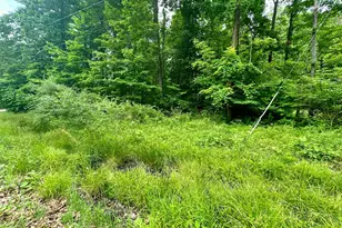 7326 St Rt 19 Unit 10 Lot 46&47, Mount Gilead, OH 43338 - Photo 1