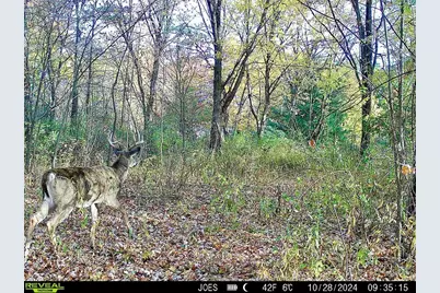 334 State Route 314, Centerburg, OH 43011 - Photo 1