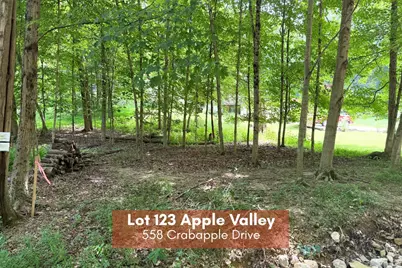 558 Crabapple Drive, Howard, OH 43028 - Photo 1